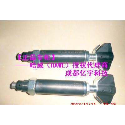 現(xiàn)貨特價(jià) CDK3-2-160—德國(guó)HAWE哈威