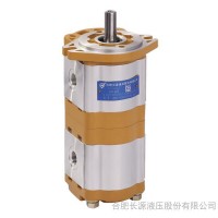 供應合肥長源 CBWL-E320/E308-TFZL 工程起重機齒輪泵  工程元件 輪馬達,液壓閥,液壓油缸,液壓元件