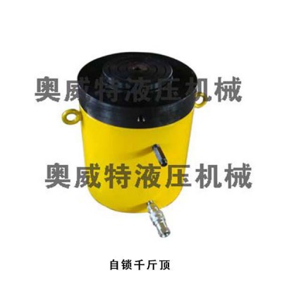 自鎖千斤頂  供應(yīng)機動泵、膠管、快