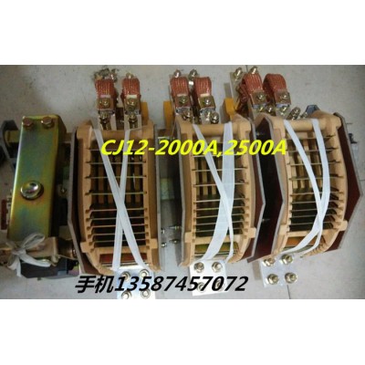 樂清新迪電氣有限公司 CJ12-1500/3