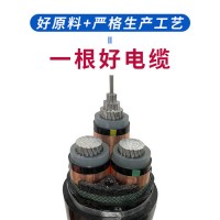 偉鵬 工程電纜電線   電線電纜  無氧銅芯電纜 廠家供應(yīng)