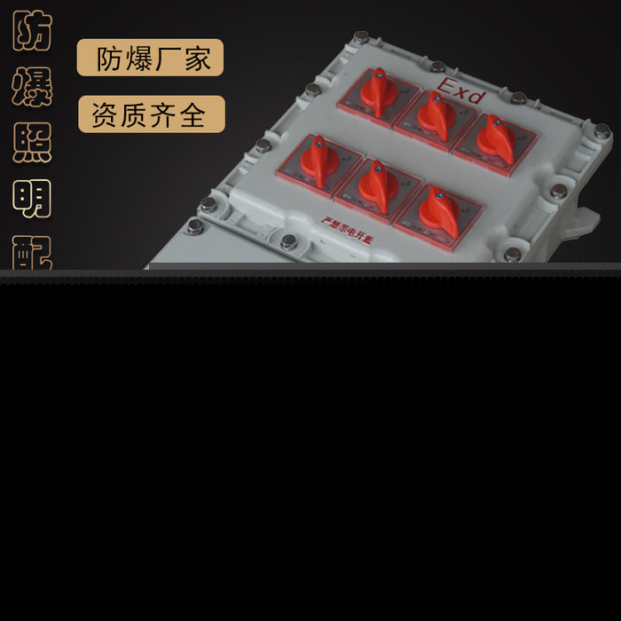 首安防爆BXMD防爆配電柜 防爆控制柜 防爆電控柜 防爆電氣柜 防爆柜
