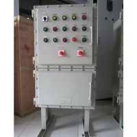 源適 燃?xì)夥緽XM（D）防爆照明配電柜廠家  檢修箱 不銹鋼遠(yuǎn)程控制箱 立式防爆配電柜