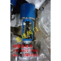 恩建ZDLP-16C/40C DN15~DN300電子式電動(dòng)單座調(diào)節(jié)閥