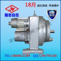 NORGER/諾冠ZDLN 電動調節閥
