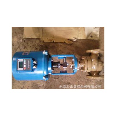 永嘉匯正自控泵閥有限公司專業生產