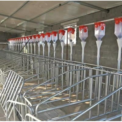 豬場豬舍母豬妊娠初期定位欄落地式