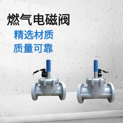 家用燃氣管道自閉閥 天然氣安全閥