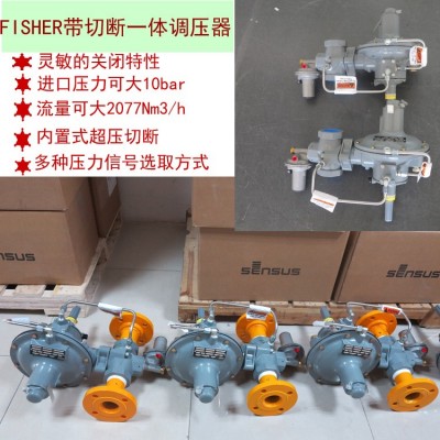 299H燃氣減壓閥費希爾299H調壓閥  2