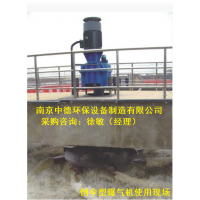 供應DSB倒傘型表面曝氣機用途及外形尺寸；倒傘型表曝機安裝與調試要求