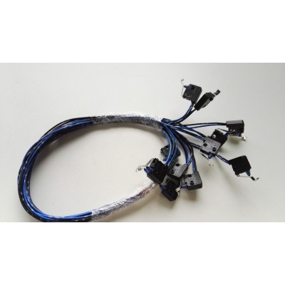 歐姆龍基本開(kāi)關(guān)D2HW-BL273MR