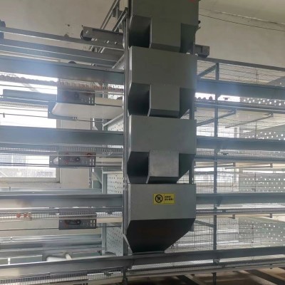 雞場自動化喂料機(jī)的幾大優(yōu)勢