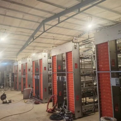 雞場用自動化撿蛋機(jī) 集蛋器節(jié)省人工