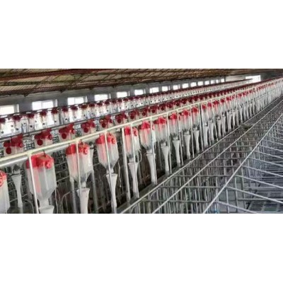 大型養殖場用自動化喂料設備飼料輸