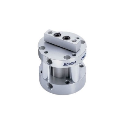 美國Bimba 氣缸 FT-310.25-4MVEE1