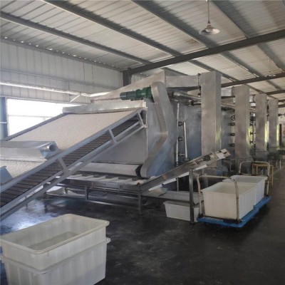 農產品多功能堅果類干燥設備帶式食