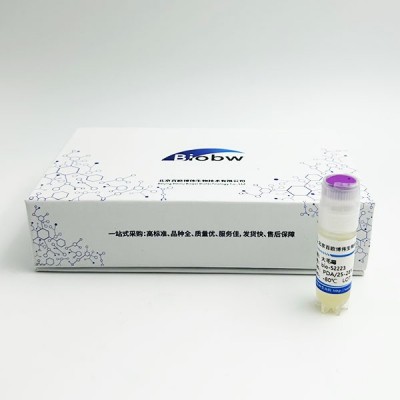 克魯維畢赤酵母Pichia kluyveri