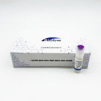 Agrobacterium tumefaciens KYC 55BIOBW菌種查詢