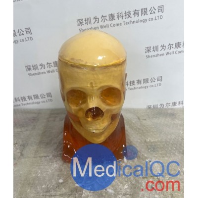 HD-C03成人頭模 HD-C03血管造影頭模