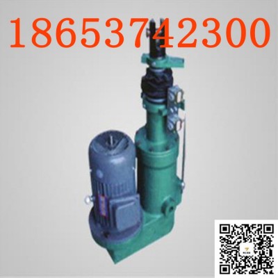 DTZ1750-600直式電液推桿定做的，限